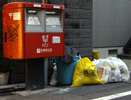 Yellow plastic bags in use in Tokyo's Suginami Ward. Crows can't see what's inside.