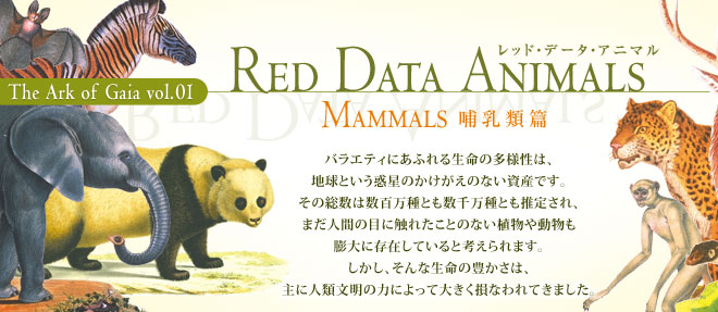 RED DATA ANIMALS