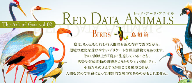 RED DATA ANIMALS BIRDS 鳥類篇