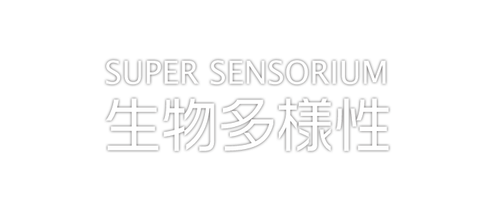 SUPER SENSORIUM